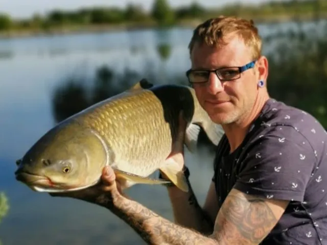 Graskarpfen