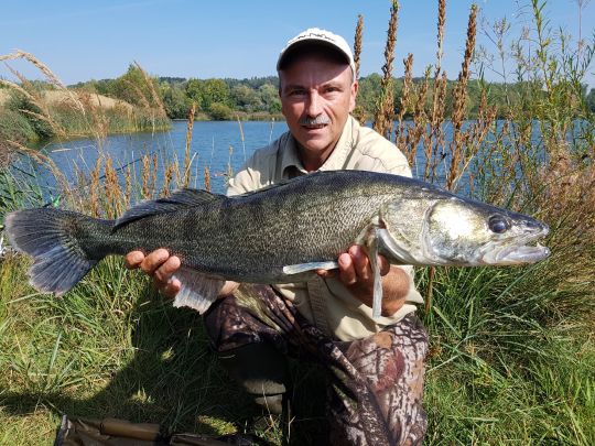 Zander