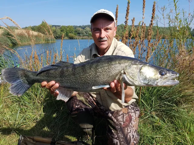 Zander