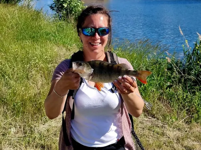 Flussbarsch