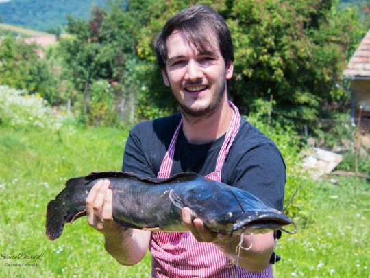 Afrikanischer Raubwels