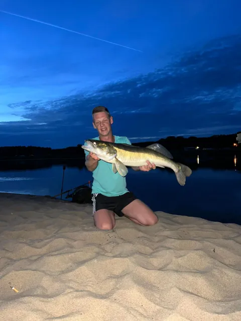 Zander