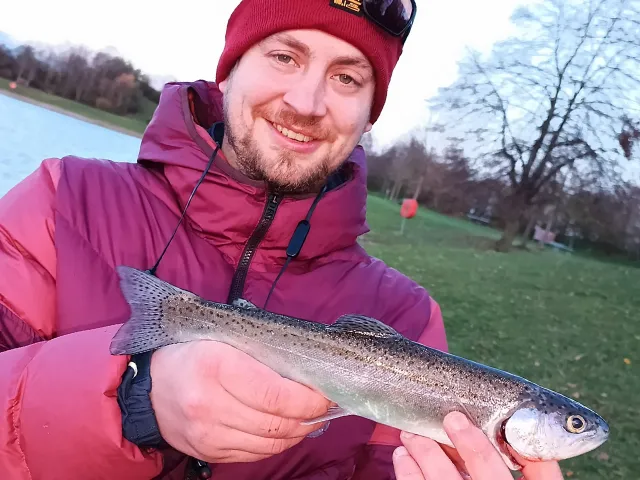 Regenbogenforelle