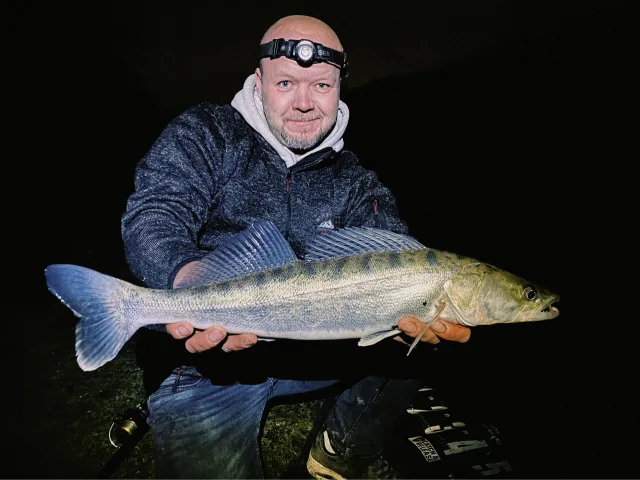 Zander