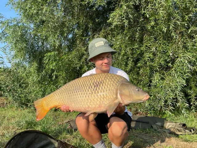 Karpfen