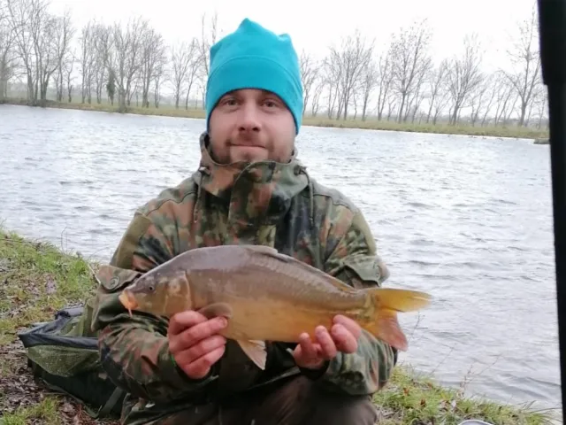 Karpfen