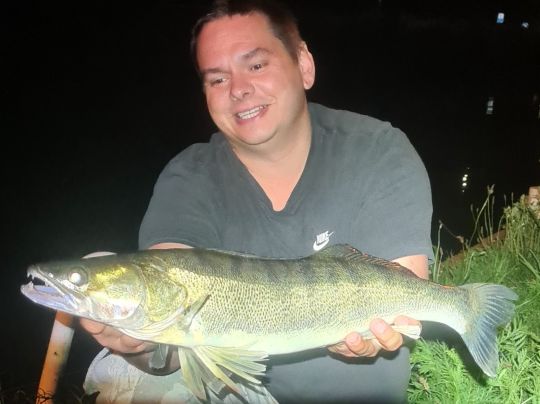 Zander