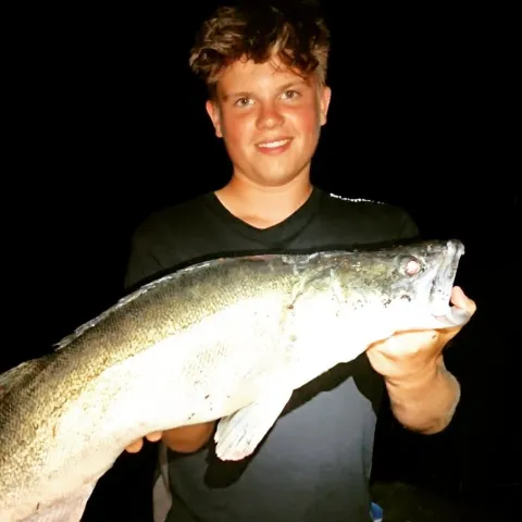 Zander