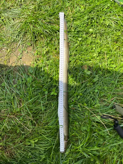 Aal