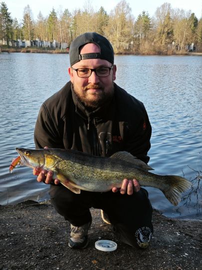 Zander