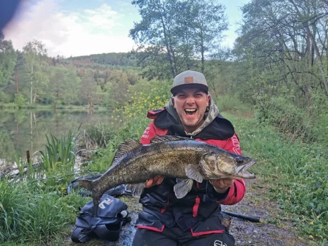 Zander