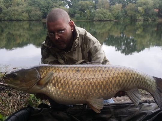 Graskarpfen