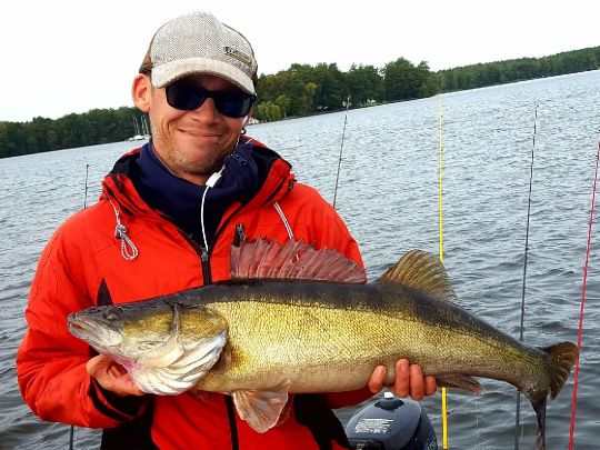 Zander