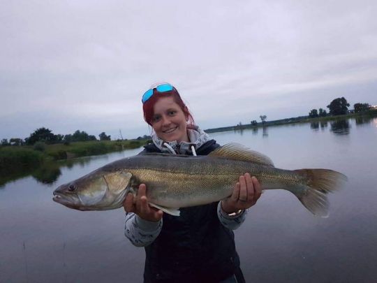 Zander