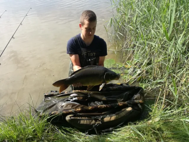 Karpfen