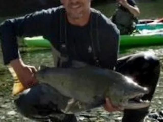 Lachs