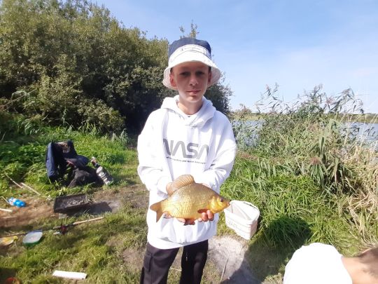 Karausche