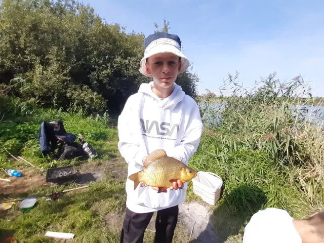 Karausche