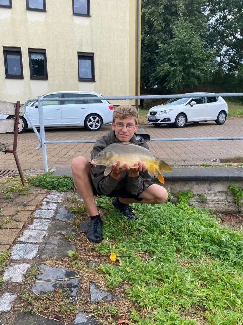 Karpfen