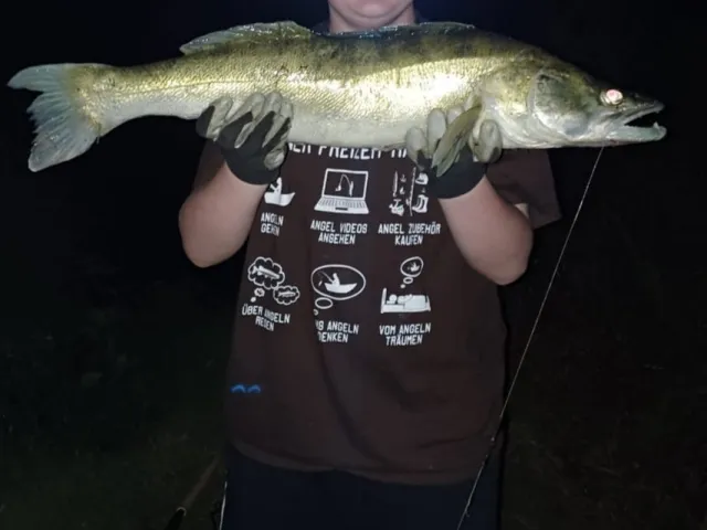 Zander