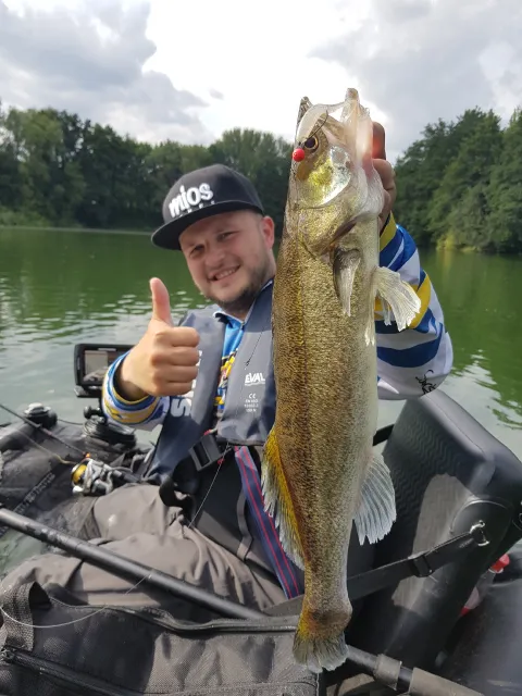 Zander