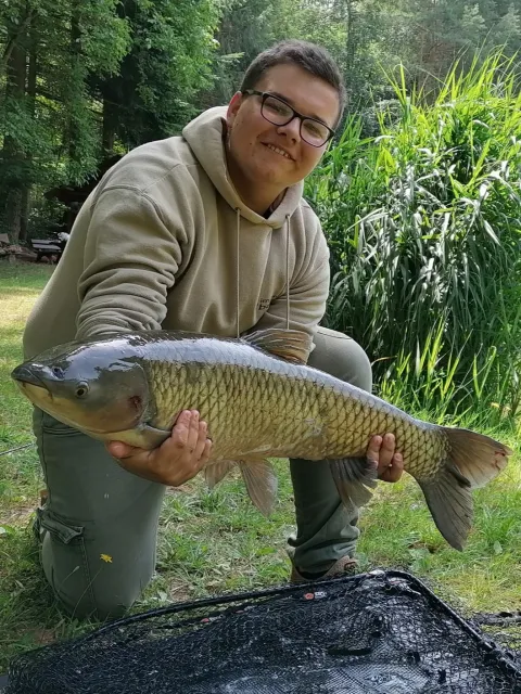 Graskarpfen