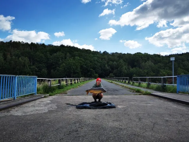Karpfen