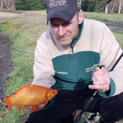 Goldfisch