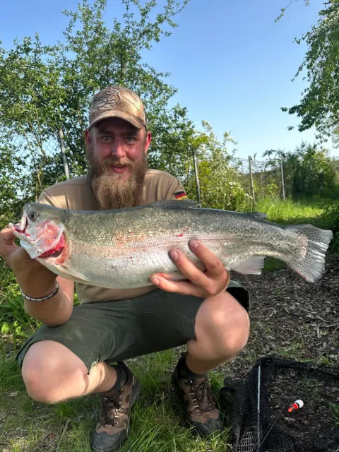 Regenbogenforelle