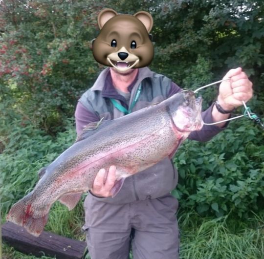 Regenbogenforelle