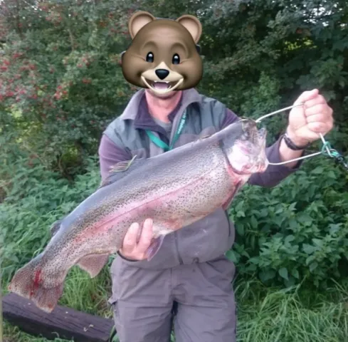 Regenbogenforelle