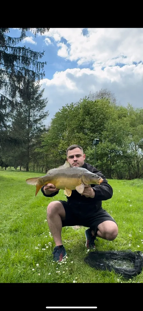 Karpfen