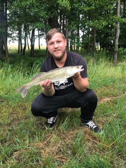 Zander