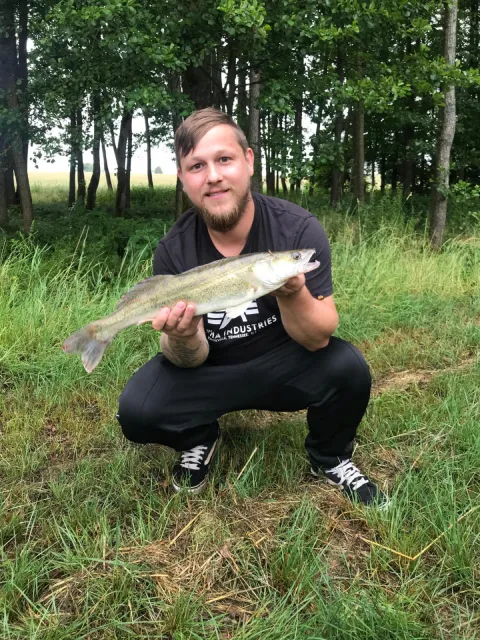 Zander