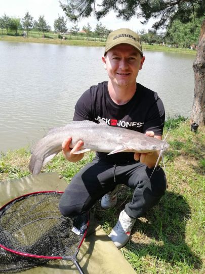 Afrikanischer Raubwels