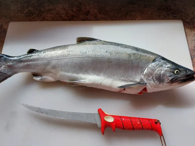 Lachs
