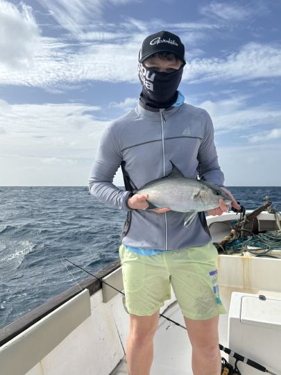 Amberjack