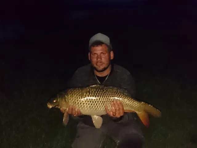 Karpfen