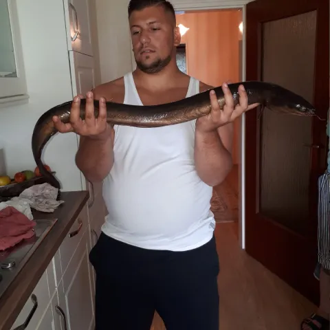 Aal