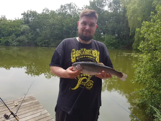 Regenbogenforelle