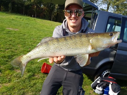 Zander