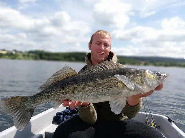 Zander
