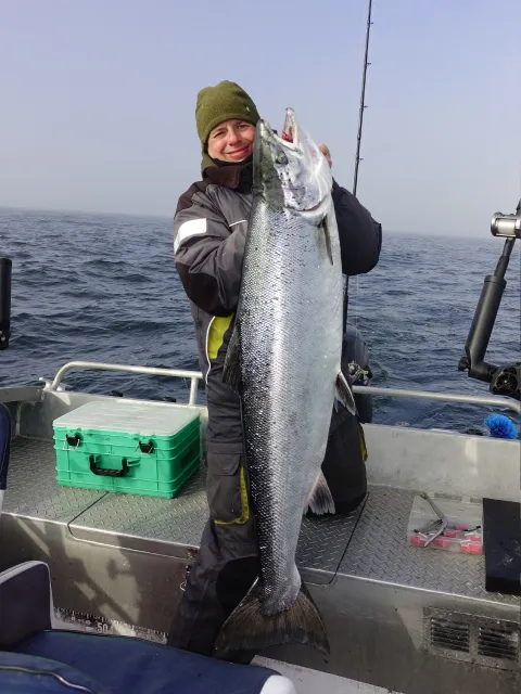 Lachs