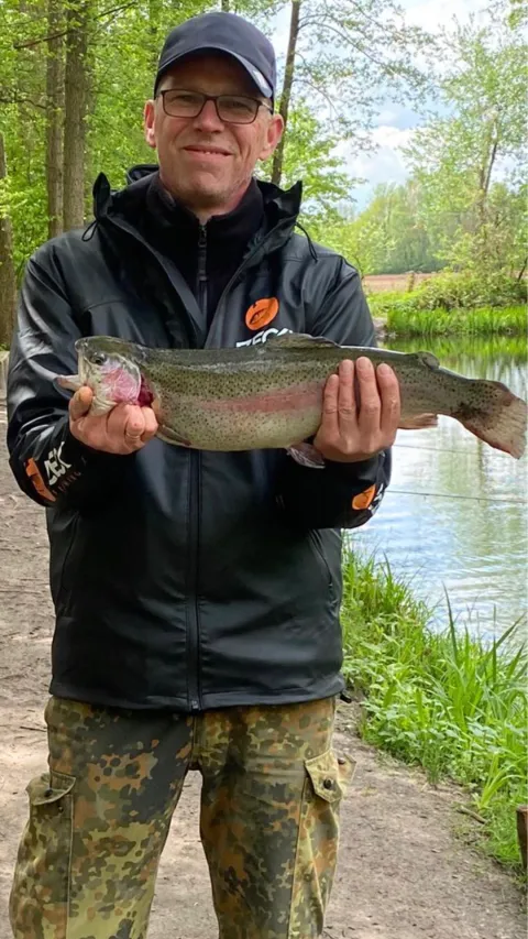 Regenbogenforelle