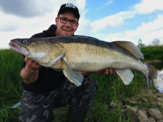 Zander