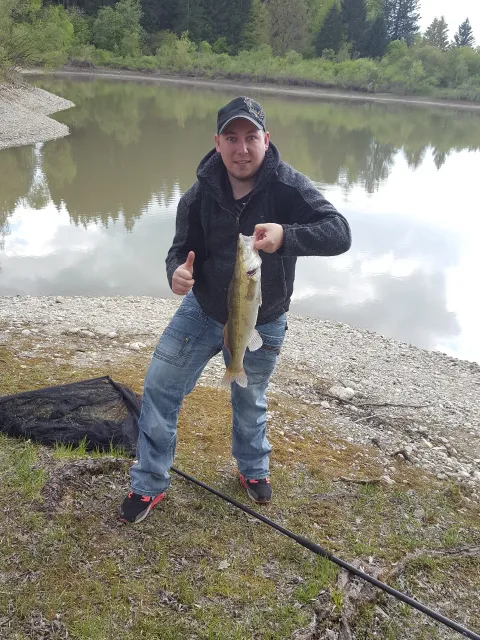 Zander