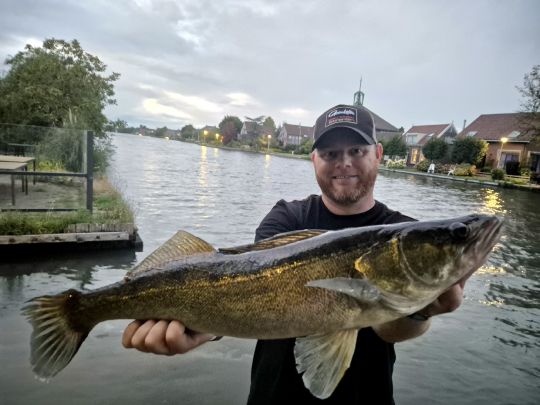 Zander