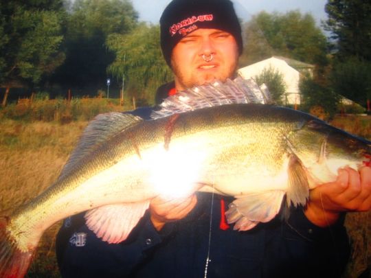 Zander