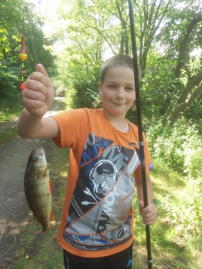 Flussbarsch