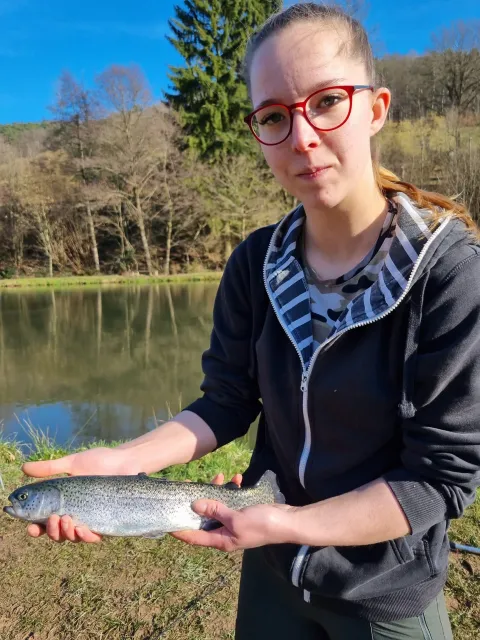 Regenbogenforelle